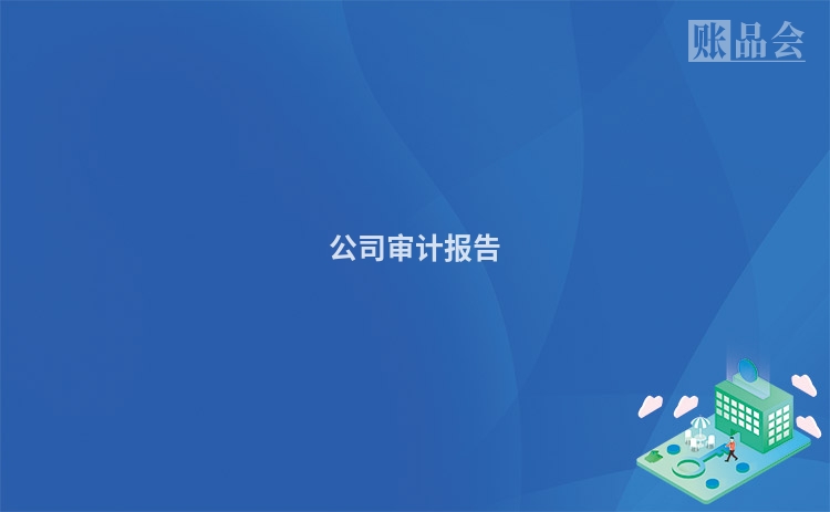 公司审计报告