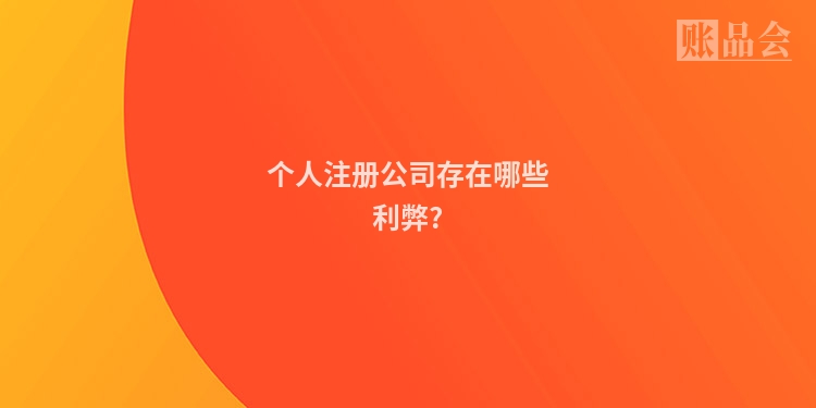 个人注册公司存在哪些利弊?