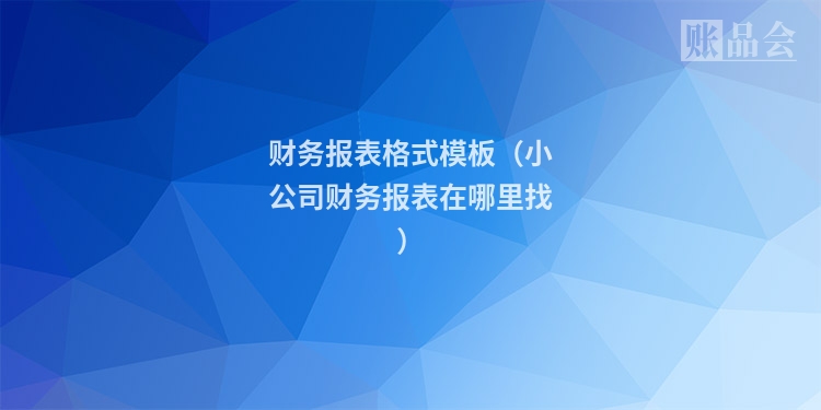 财务报表格式模板（小公司财务报表在哪里找）