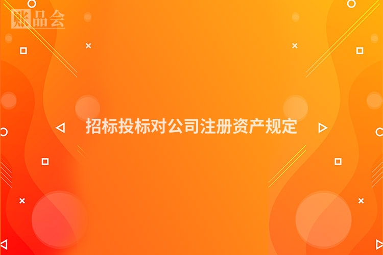 招标投标对公司注册资产规定