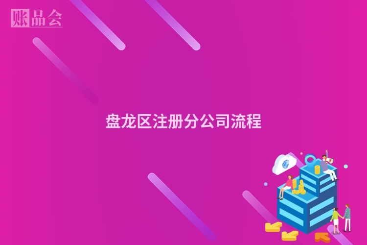 盘龙区注册分公司流程