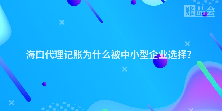 海口代理记账为什么被中小型企业选择？