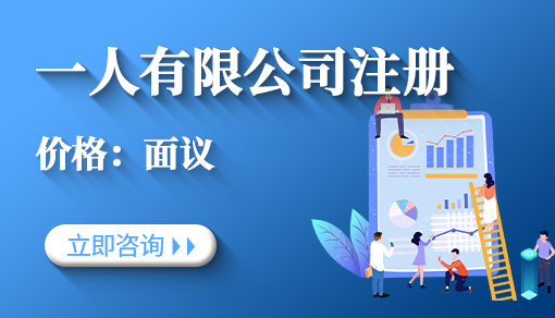 一人有限公司注册