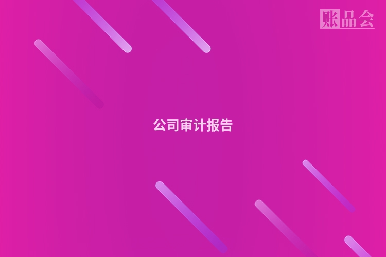 公司审计报告